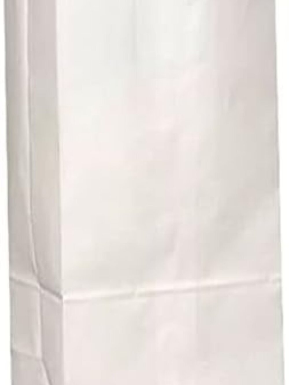 White Paper Bags